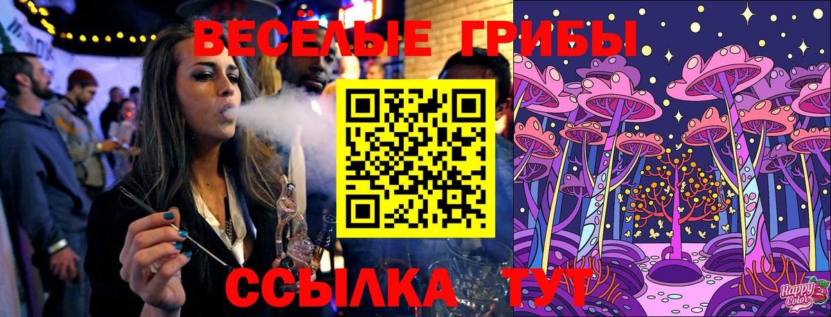 Галлюциногенные грибы ЛСД  Вход с VPN  Волгодонск  Псилоцибиновые грибы Psilocybe 
